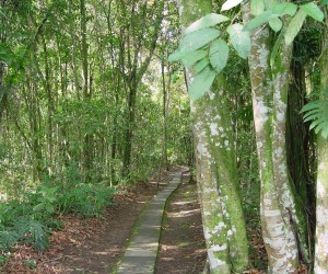 Botanical Garden UTP. Source: Panoramio.com By gismax